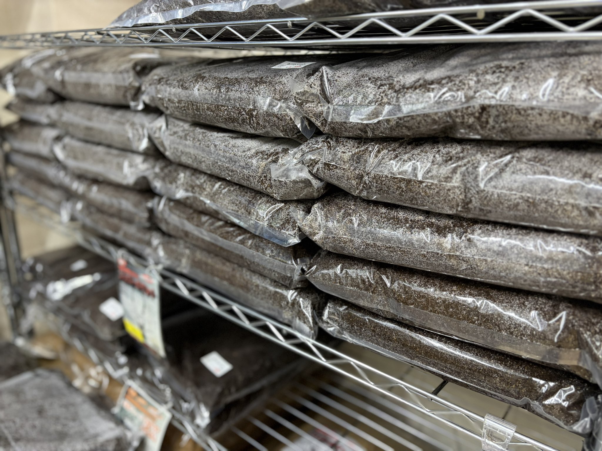 INSECT JOKER official インセクト ジョーカー on X: 