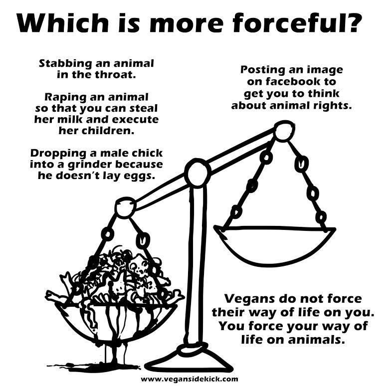 Tell us again how forceful vegans are.

🎨 VeganSideKick