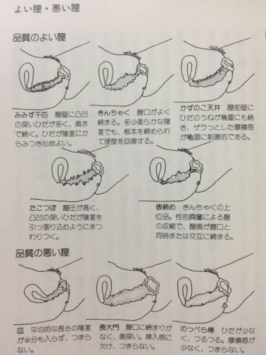「品質のよい膣」がこれらしい

みんなどう？