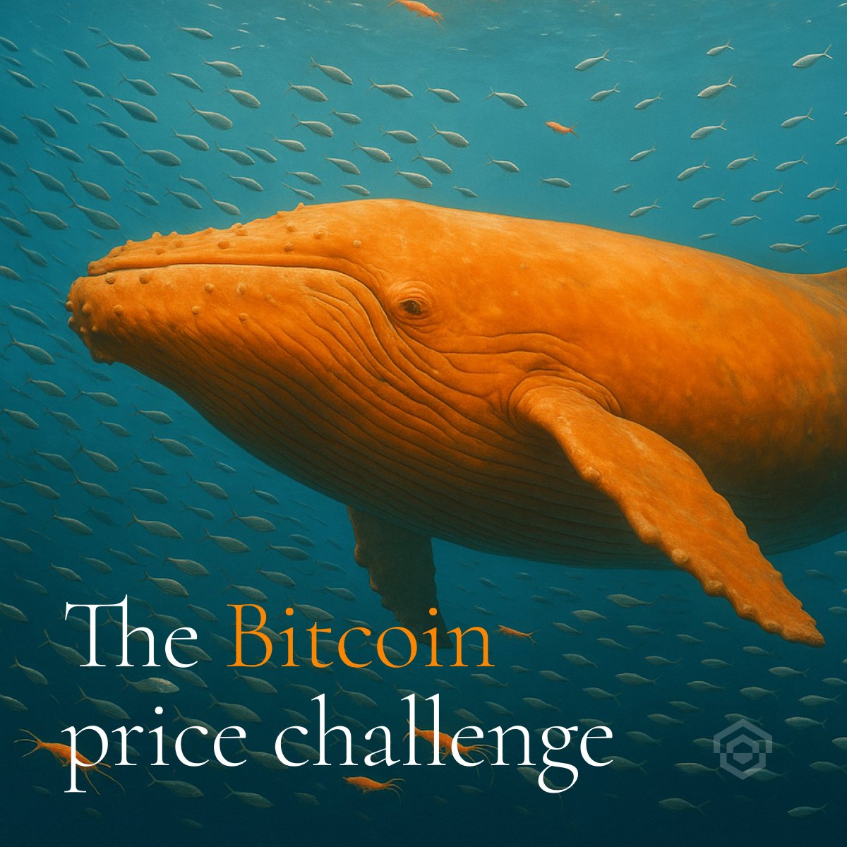 Where will Bitcoin stand on Dec 1, 2025? 1) Follow @xbtogroup 2) Comment  your BTC price prediction below. 3) Closest prediction wins a  @bitcoinmenaconf Whale Pass. Entries close Nov 30, 23:59.