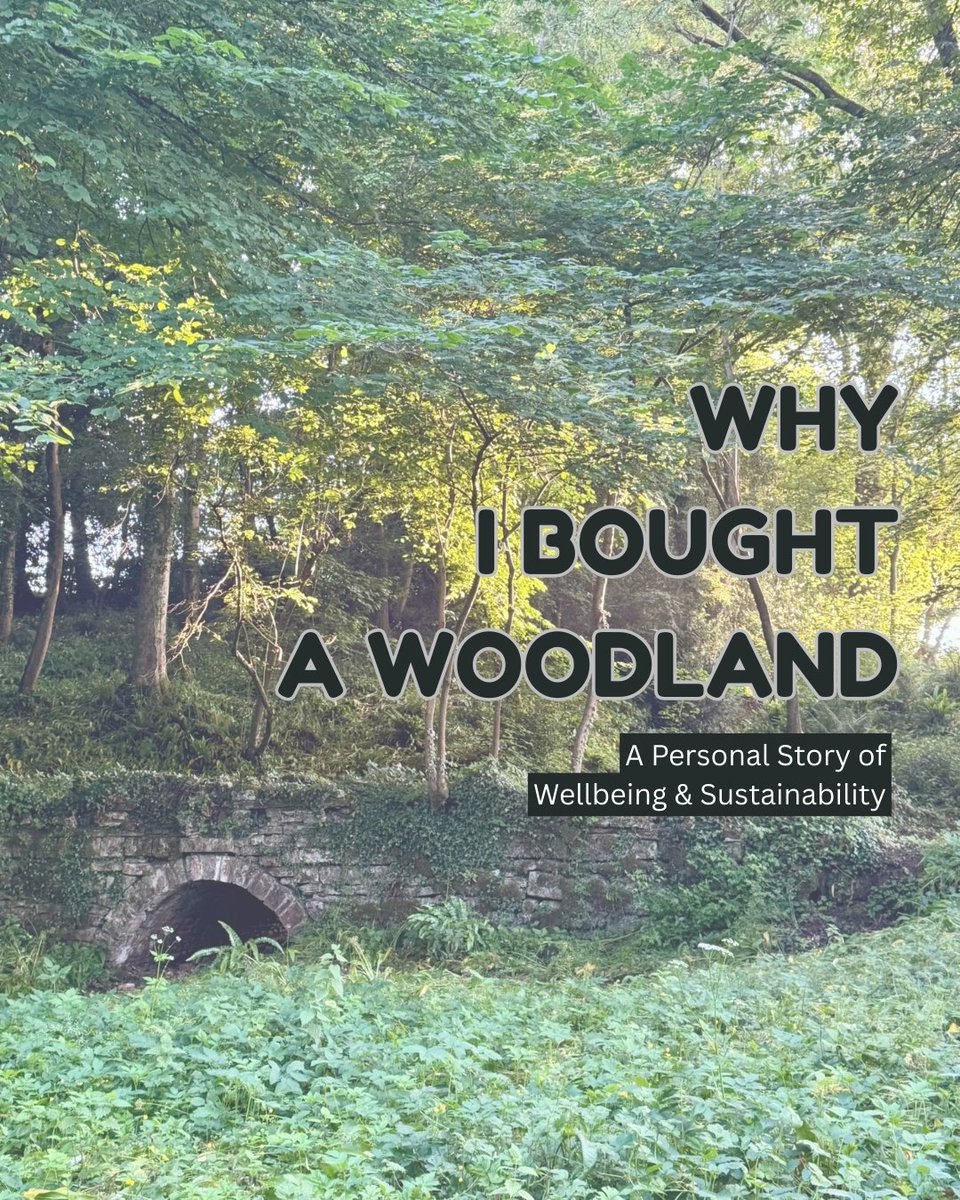 OSCSuk's tweet image. 🌳🌳🌳🌳🌳
Why I Bought A Woodland...
A personal story of wellbeing &amp;amp; sustainability.

Read my blog and discover how this will benefit all of us...

onestopcleaningshop.co.uk/blog/why-i-bou…

#cleaning #business #woodland #woods #wellbeing #sustainability #pause #breathe #reconnect #ecofriendly