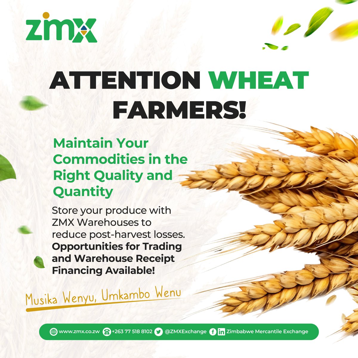𝑾𝒉𝒆𝒂𝒕 𝑭𝒂𝒓𝒎𝒆𝒓𝒔, 𝑺𝒆𝒄𝒖𝒓𝒆 𝒀𝒐𝒖𝒓 𝑯𝒂𝒓𝒗𝒆𝒔𝒕!
Protect your produce and maximize profits with ZMX Warehouses! Reduce post-harvest losses, maintain quality &amp; tap into trading &amp; financing opportunities.
Let your hard work pay off — store smart, trade better!
