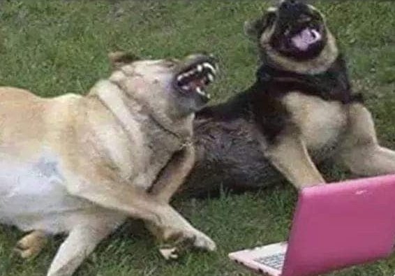 He said, "Come in he doesn't bite." And I bit him😂