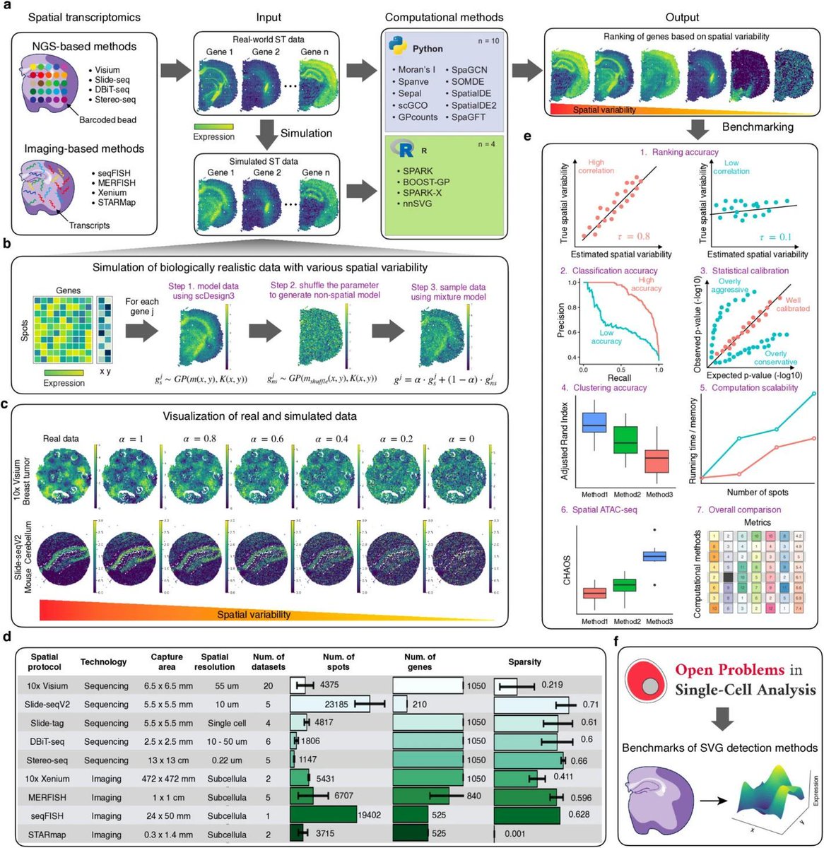 jsantoyo's tweet image. Systematic benchmarking of computational methods to identify spatially variable genes. #SpatialTranscriptomics #MethodsBenchmarking @GenomeBiology 
genomebiology.biomedcentral.com/articles/10.11…