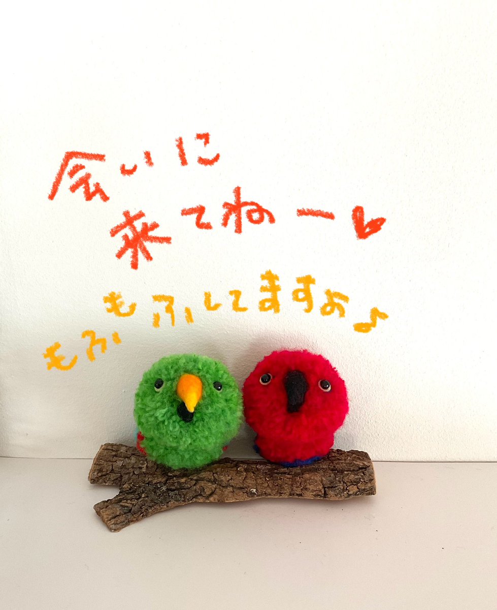 Torikobo tweet media