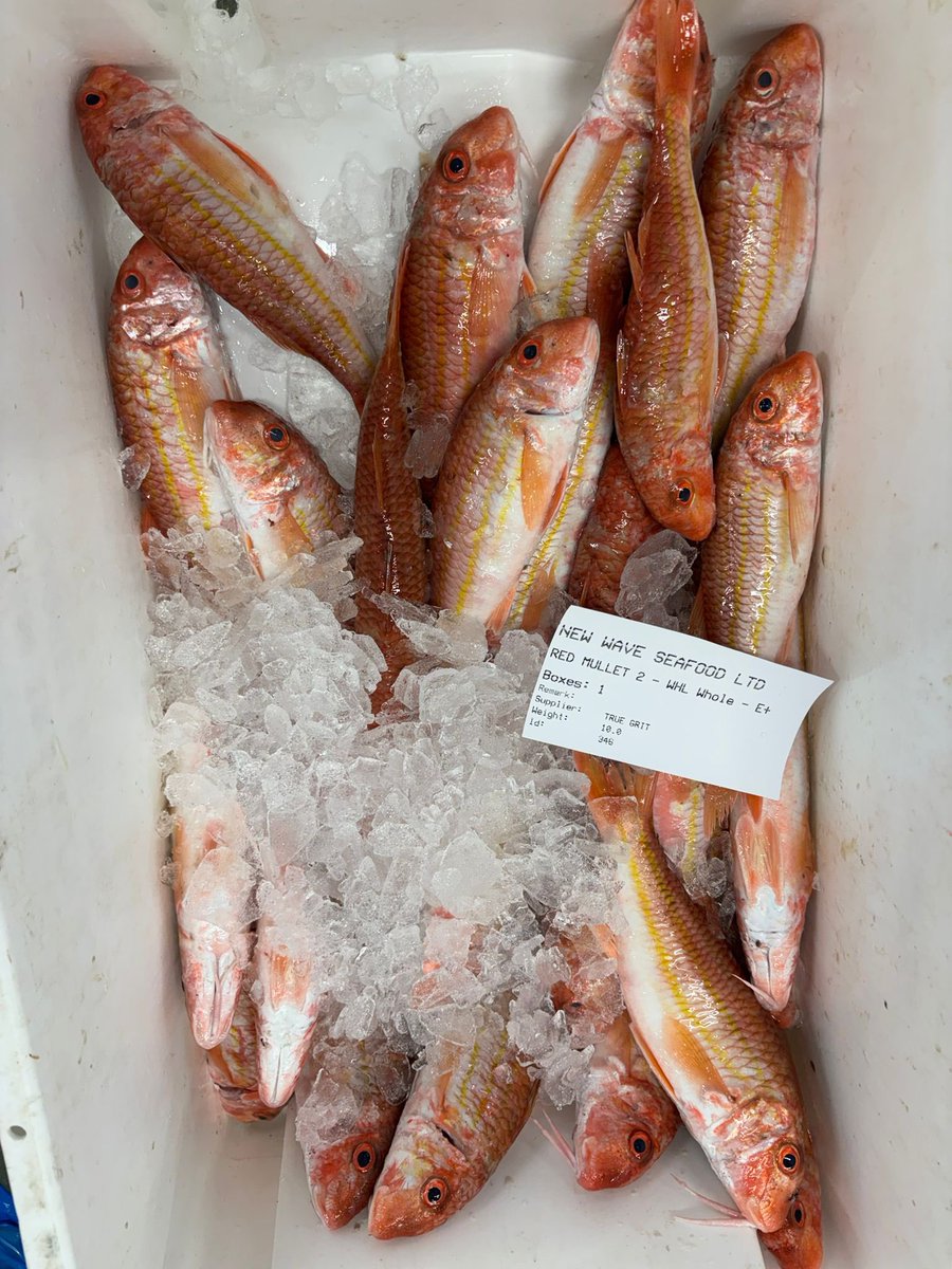 Middletons Fish Frying tweet media