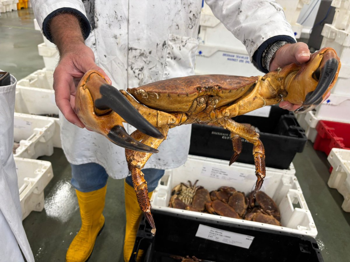 Middletons Fish Frying tweet media