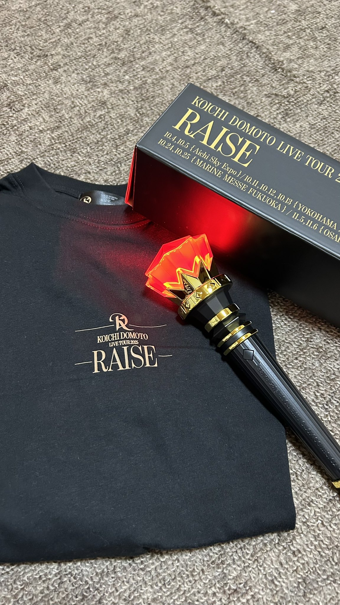 堂本光一RAISEツアーグッズ KOICHI DOMOTO RAISE CD チャーム堂本光一