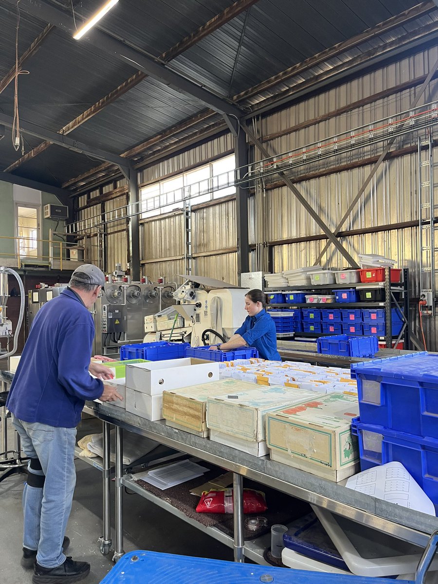 Almost there! Wrapping up packing for the CY26 rice field trials 🌾📦 

#cy26 #sowing #rice #ricebreedingaustralia #ricetrials