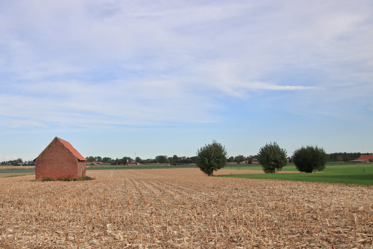 #vrtweer Luc Lambert 10u16 Ardooie bewolkt wind  NO 17°
