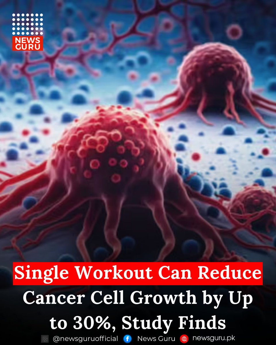 newsgurupk's tweet image. Single Workout Can Reduce Cancer Cell Growth by Up to 30%, Study Finds

Read more: newsguru.pk/health/exercis…

#NewsGuru #CancerResearch #ExerciseForHealth #StayActive #CancerPrevention #HealthyLifestyle #FightCancer