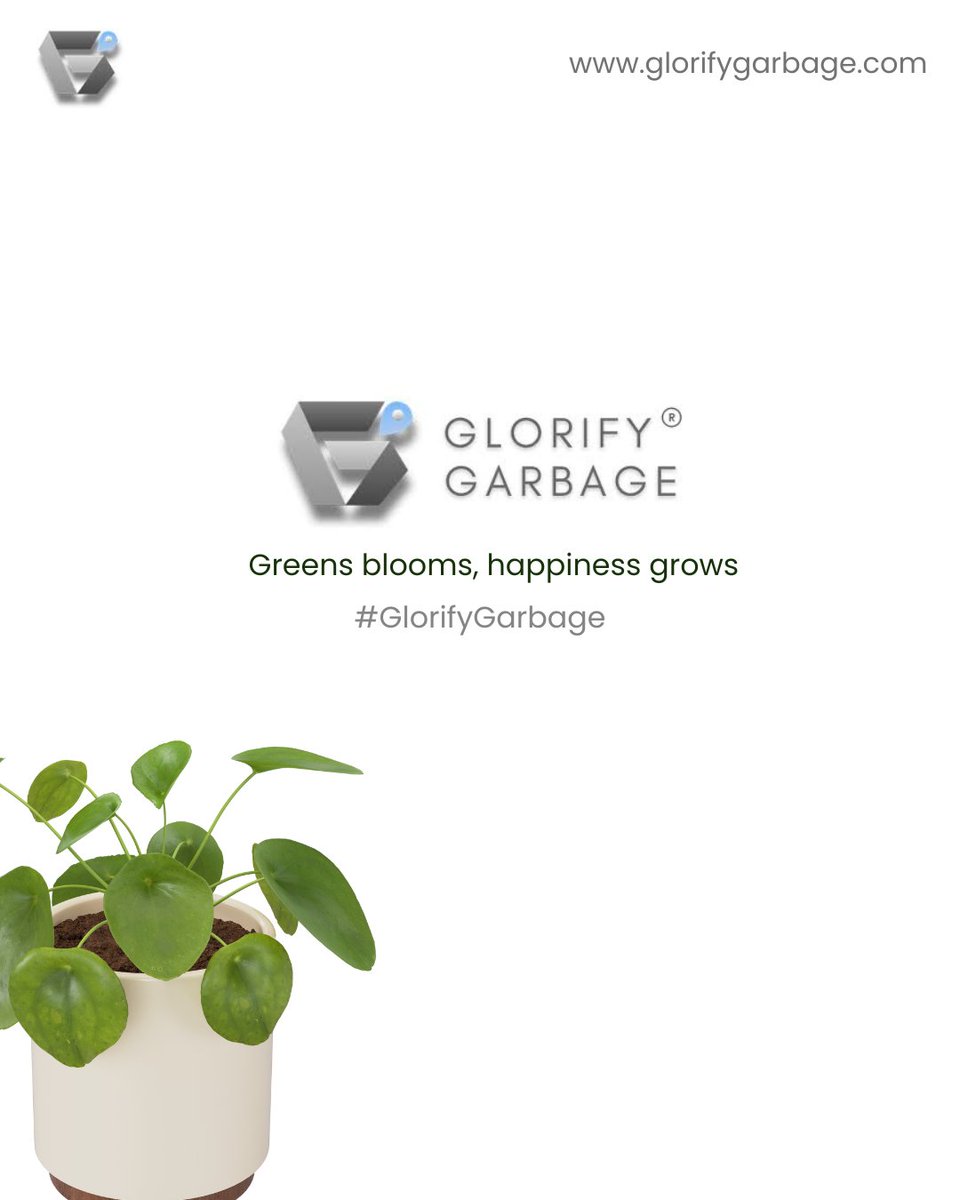 GlorifyGarbage's tweet photo. Home gardening by Glorify Garbage helps you create a green and peaceful corner in your home. From fresh plants, we make your space beautiful and eco-friendly, and turn your balcony, kitchen, terrace, or corner into a beautiful garden.

Book our Services:
https://t.co/jPVLzfjNCK https://t.co/835xeH8eeN