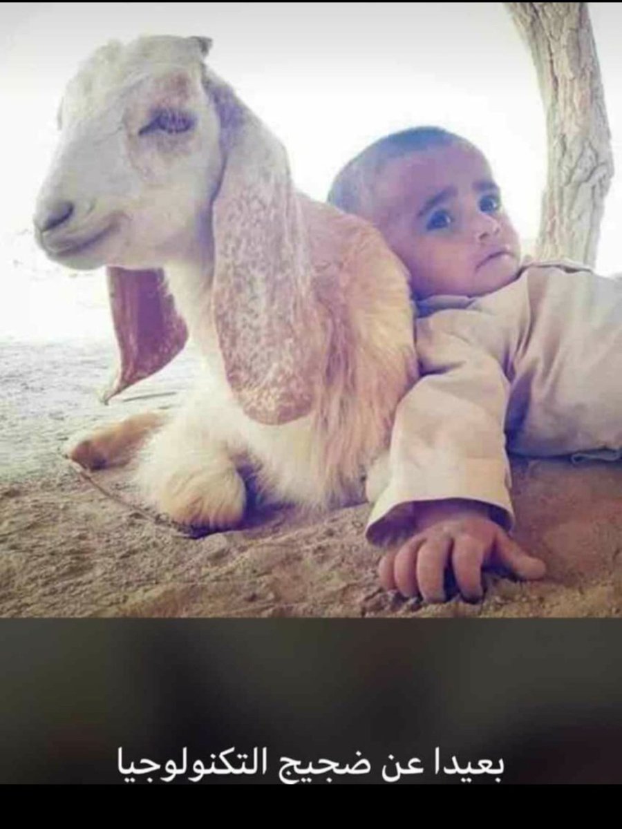 مع السلامة  ياحياة العاشقين 
إلى هنا شكراً و يكفيني " تعبت "
.
 ماالله عطاني قلب يعشق مرتين
حبيت واحد ، ورحل عني ، وتبت