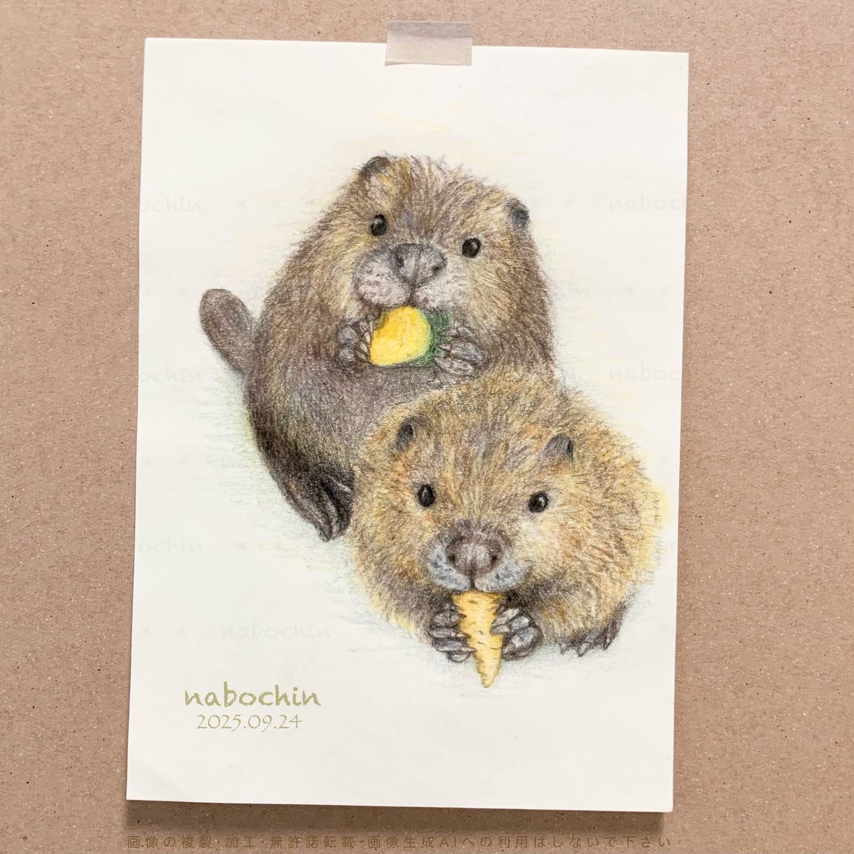 🦫 ヨーデルの森  🦫 の
すいかちゃん・らむねちゃん を
描いてみました ✏️( ´ - ` )

#ヨーデルの森 #ビーバー #チビーバー