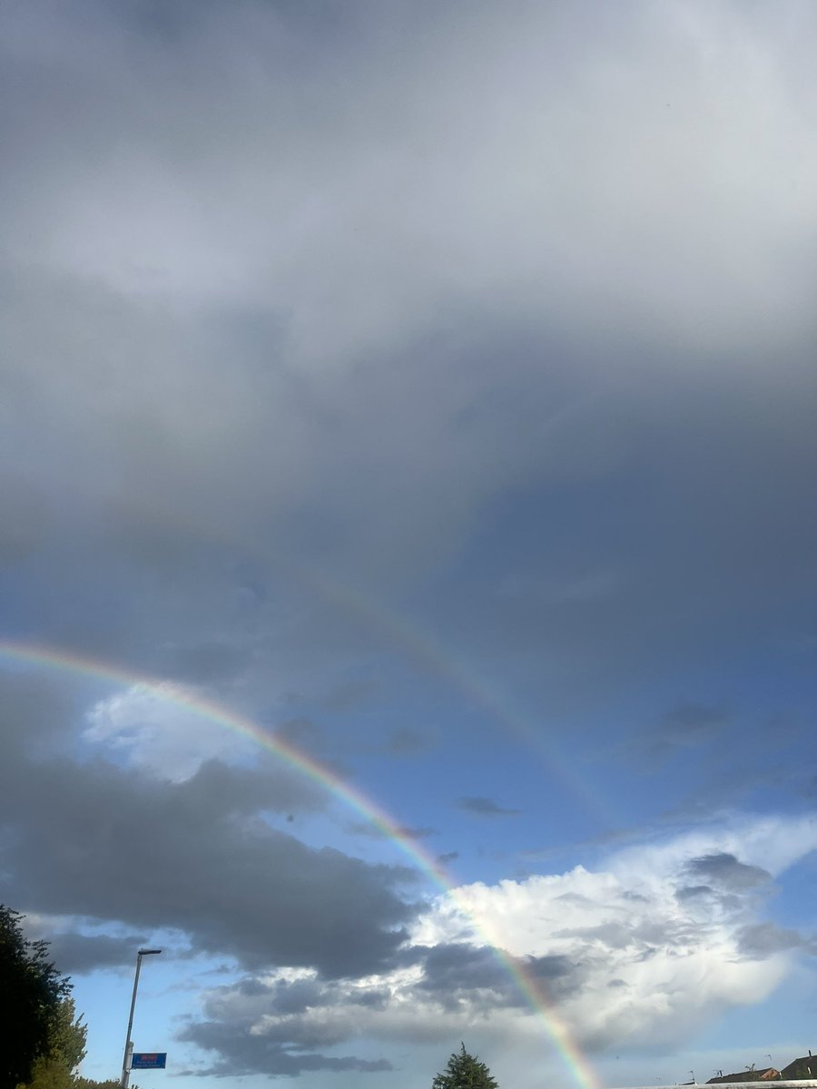 p🧚🏻 tweet media