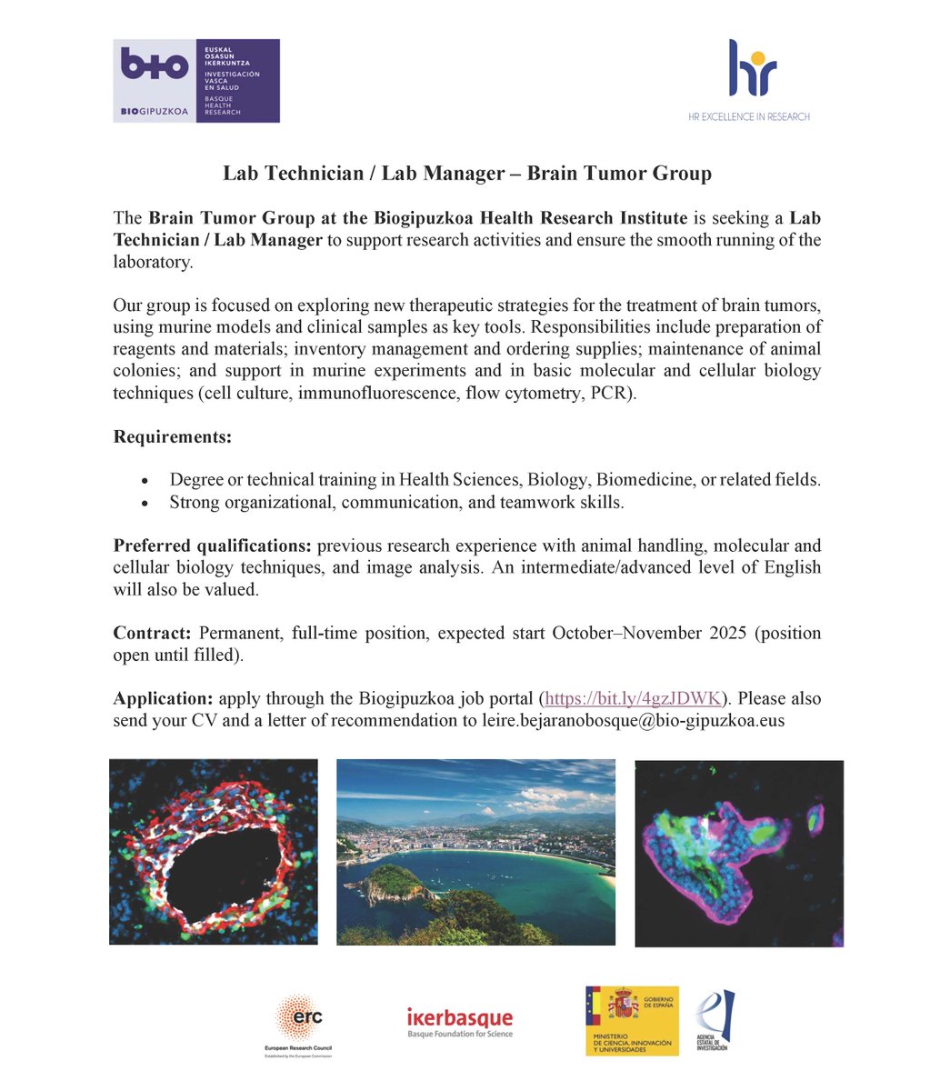 🌟 We’re hiring! 🌟 Join the Brain Tumor Group at Biogipuzkoa 💡
Two open positions: PhD student &amp; Lab Technician/Lab Manager
Check out opportunities and share 👇
PhD student: bit.ly/42GKIGz
Lab technician / Lab Manager: bit.ly/4gzJDWK