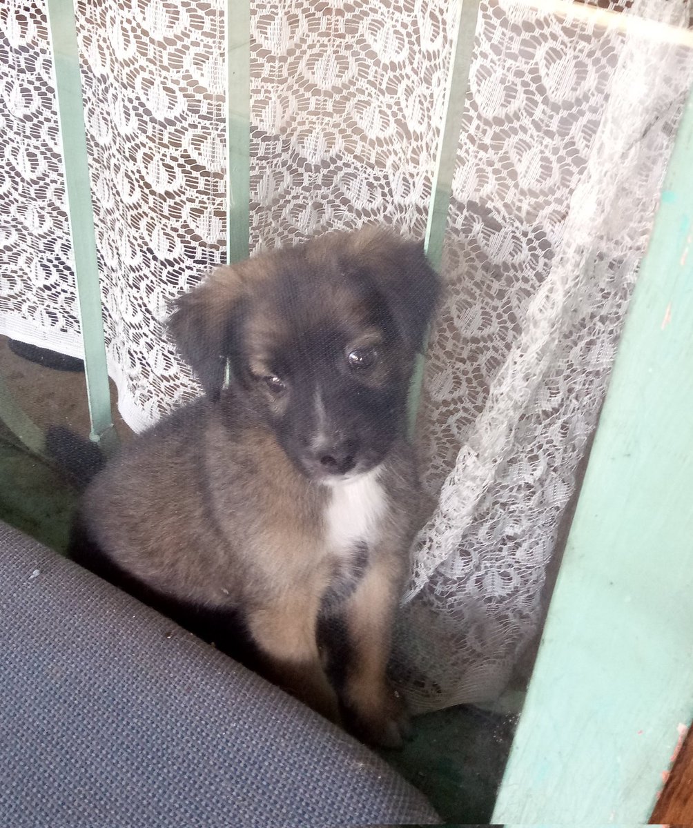 rootitawar's tweet photo. 21sept 2025. my baby is 7yo nowww🥹🥹❤️ https://t.co/nq79X5dBtP