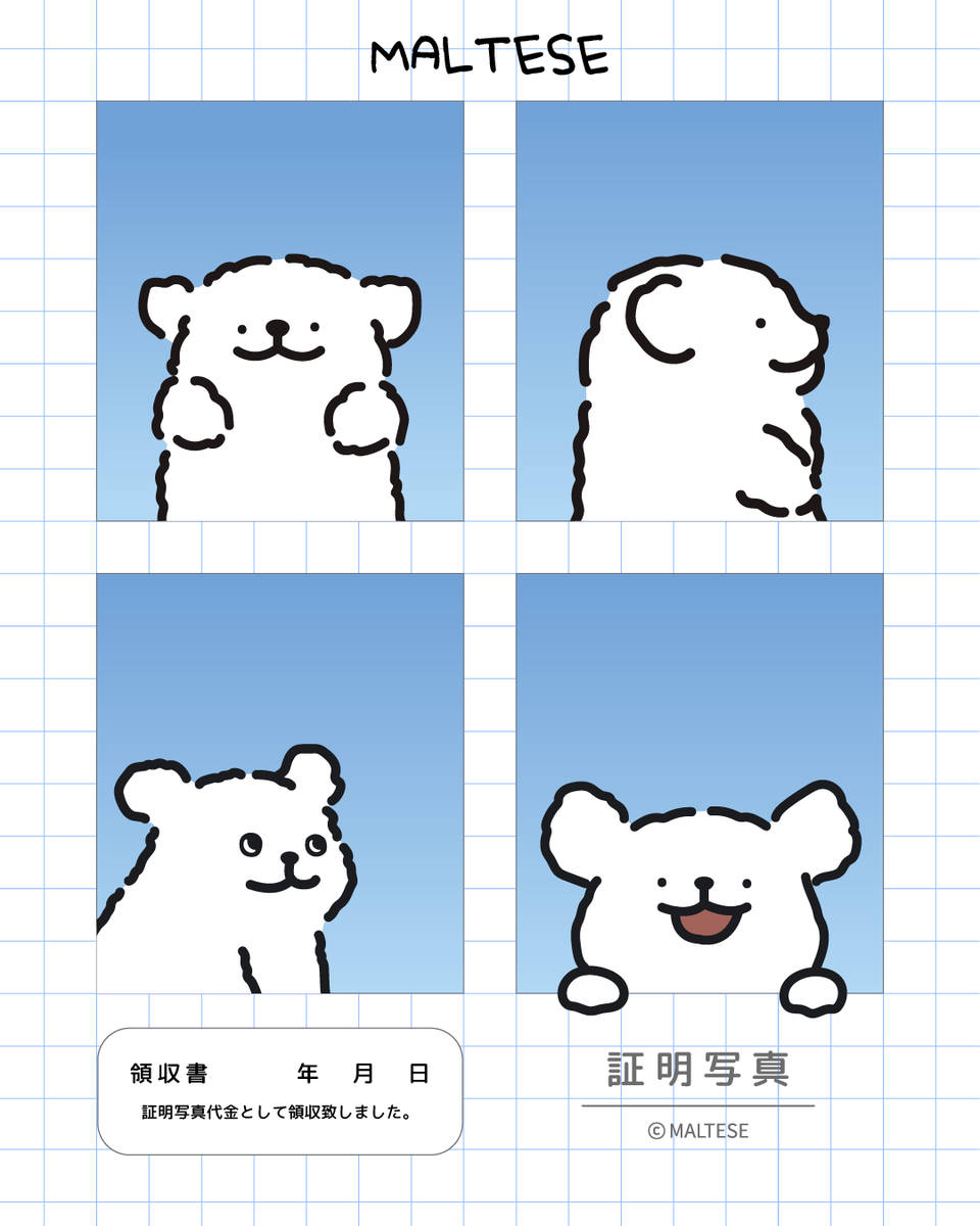 証明写真🪪 モルチーズ.ver