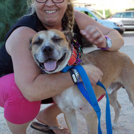 Tom 🐕 tuvo un mal pasado con su anterior familia. Gracias al trabajo de las #voluntarias de <a href="/Rivanimal/">Rivanimal</a>, es un #perro #abuelo de 12 años muy feliz.
Es + en leishmania, pero está totalmente controlada. #Adopta a Tom en <a href="/Rivanimal/">Rivanimal</a> en #Madrid.
Más info en bit.ly/2xqCqWW