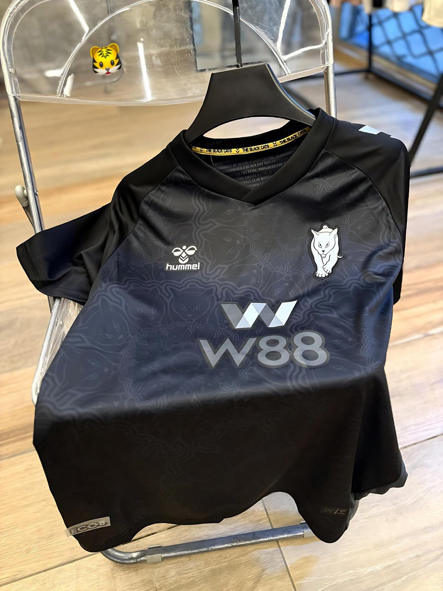 jhaytee0's tweet photo. THE BLACK CATS 🐈‍⬛ 

SUNDERLAND AWAY KIT
LIVE PICS !!

L—XXL

🏷️ 20,000

Kindly repost!! https://t.co/NIMblknPx5