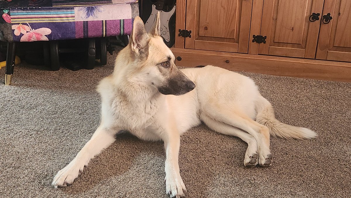 Scott Kyle tweet media