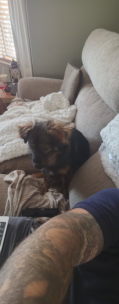 Scott Kyle tweet media