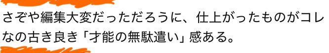 これって私、褒められてるの？？？？それともけなされてるの？？？？？