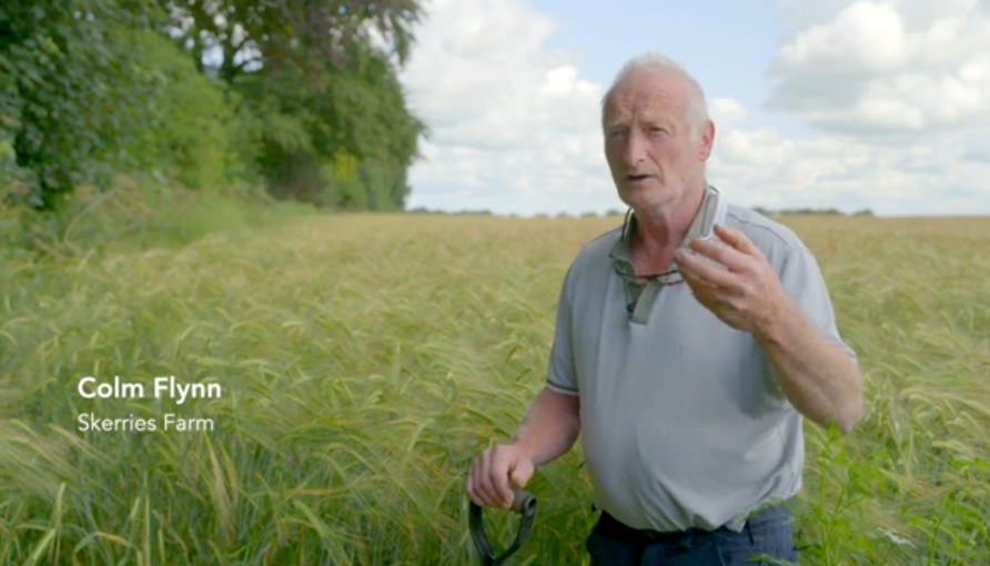 teagasc's tweet photo. Colm Flynn, Skerries Farm noticed something unusual on his farm, the crows had stopped following the plough. Hear how this simple observation led him to take meaningful steps to restore the health of his farmโs soil.
https://t.co/mMkMBxPVxO #SoilHealthWeek @VistaMilk https://t.co/AnF7wdrQrI