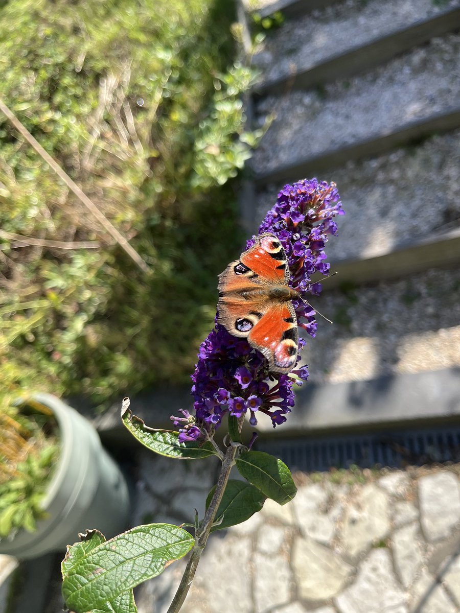 Woensdagochtend. <a href="/TheFriezinn/">The Friezinn</a>