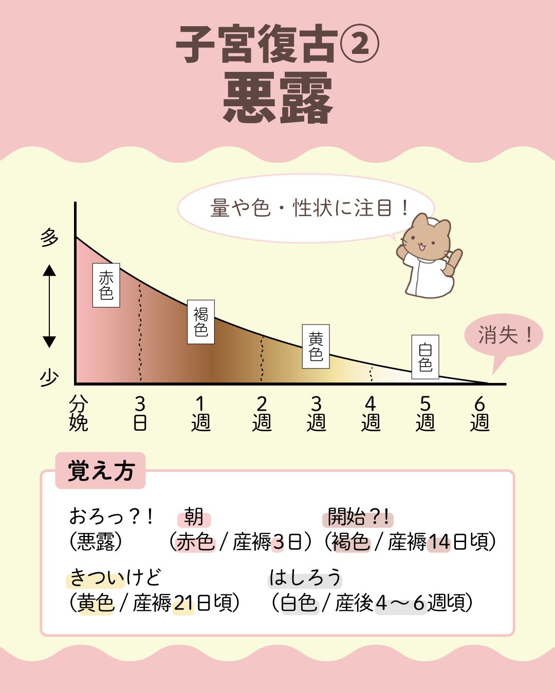 最終値下げ‼️メディックメディア模試 114th 2024 3rd 最終値下げ‼️メディックメディア模試 114th 2024 3rd