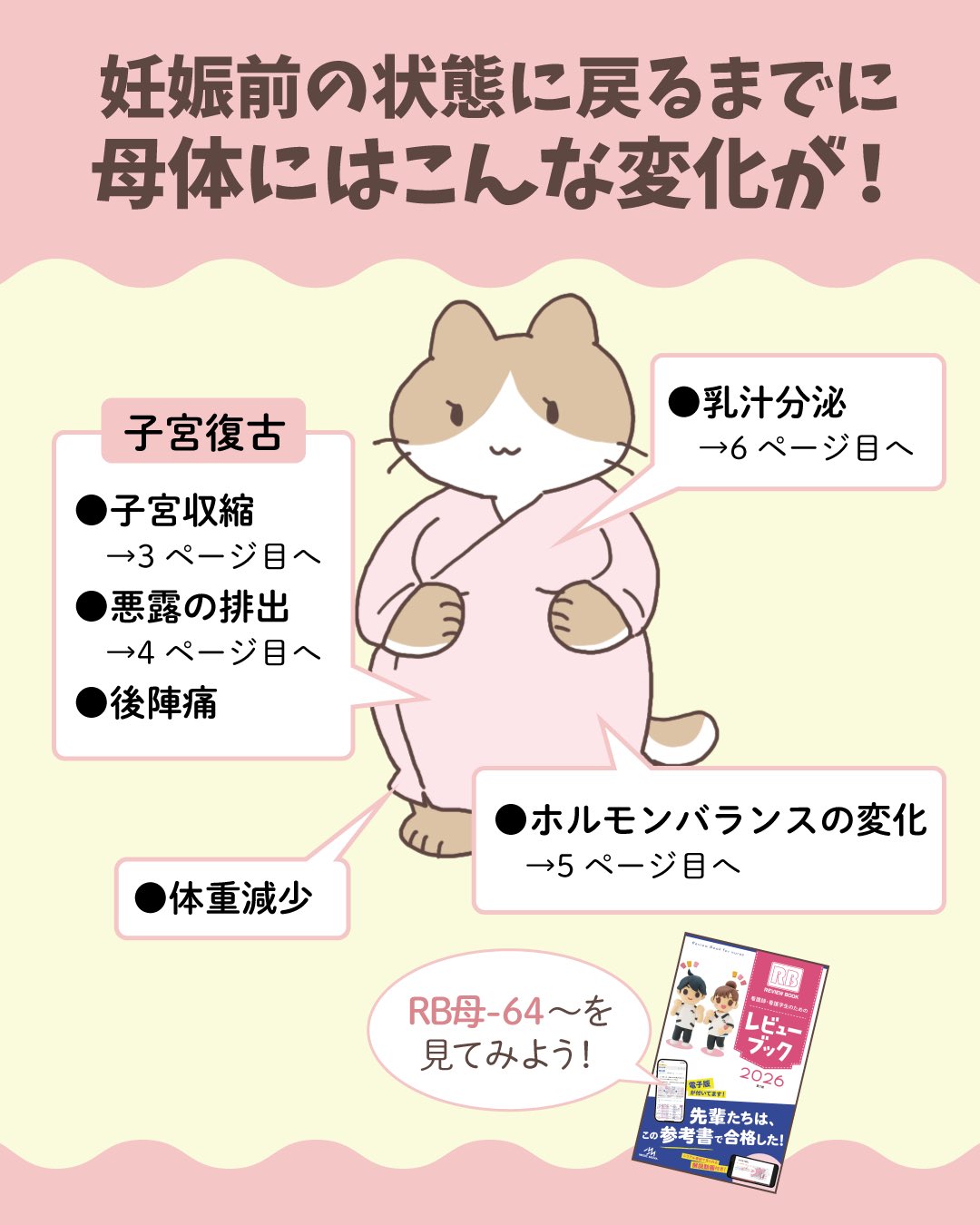 看護国試　合格　レビューブック 2020 看護師・看護学生のためのレビューブック 2020 | 岡庭豊 |本