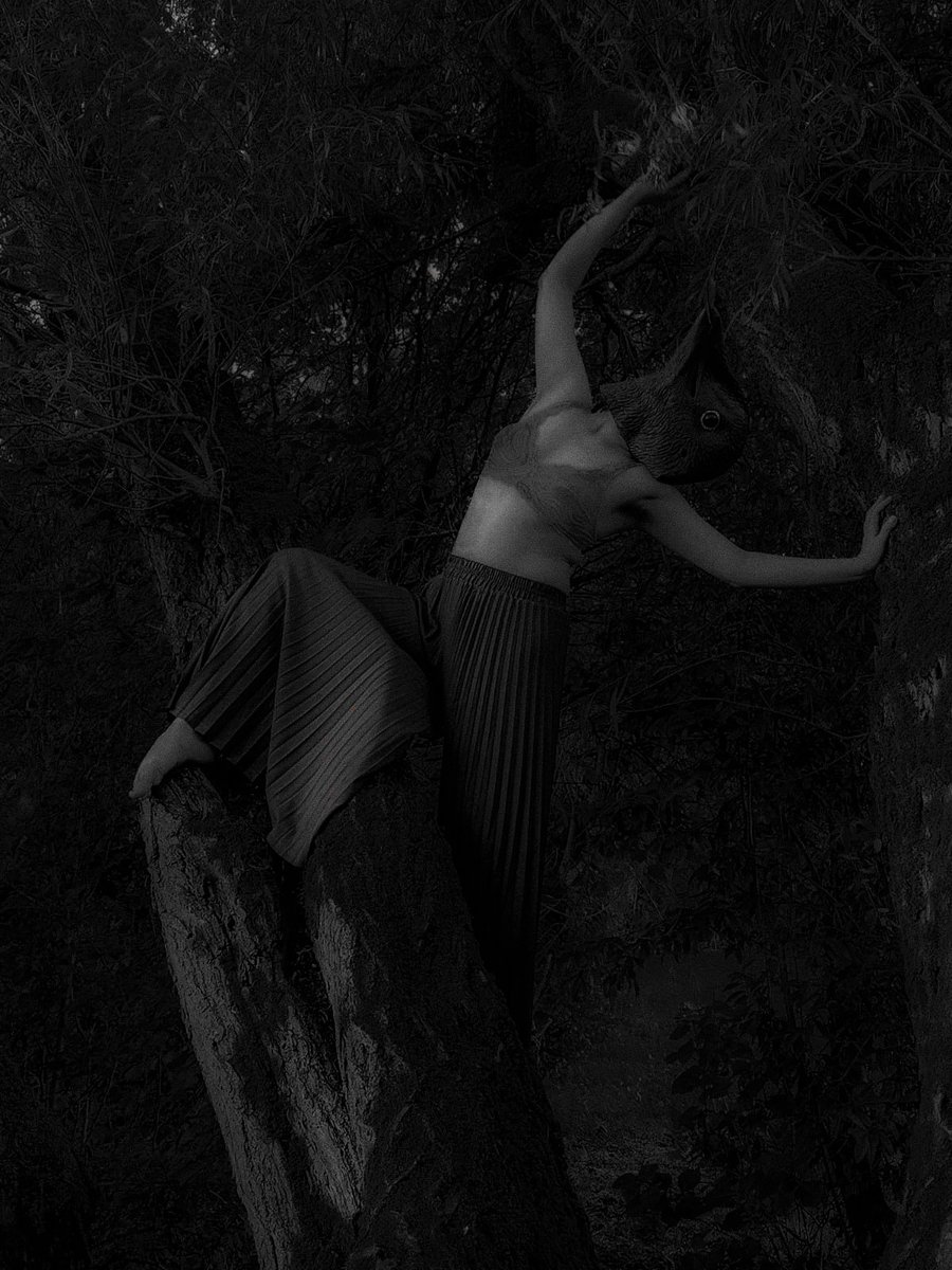 Boxio3 🌼 tweet media