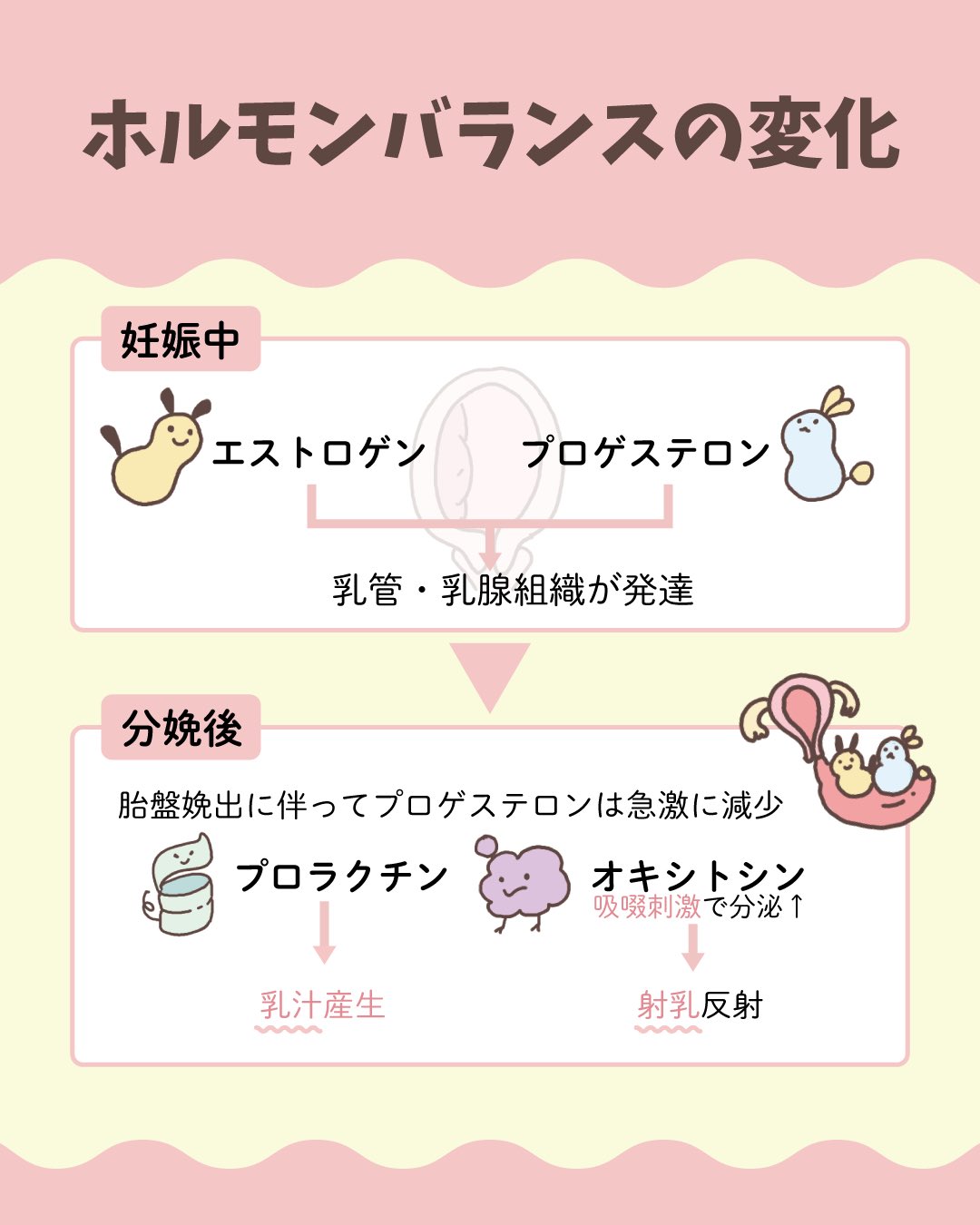 看護国試　合格　レビューブック 2020 看護師・看護学生のためのレビューブック 2020 | 岡庭豊 |本