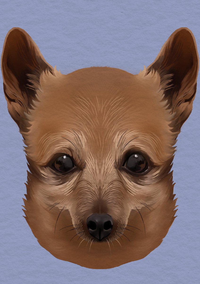 Ben Bird Person tweet media