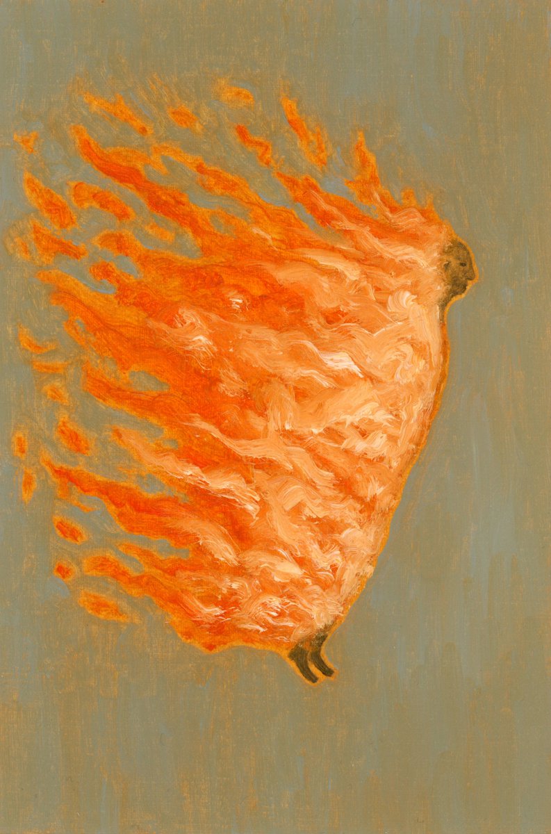 artnau's tweet photo. Strange Comet, 2025 by Joseph Dilnot https://t.co/3LCY1My7uY https://t.co/00gI1c0QtY