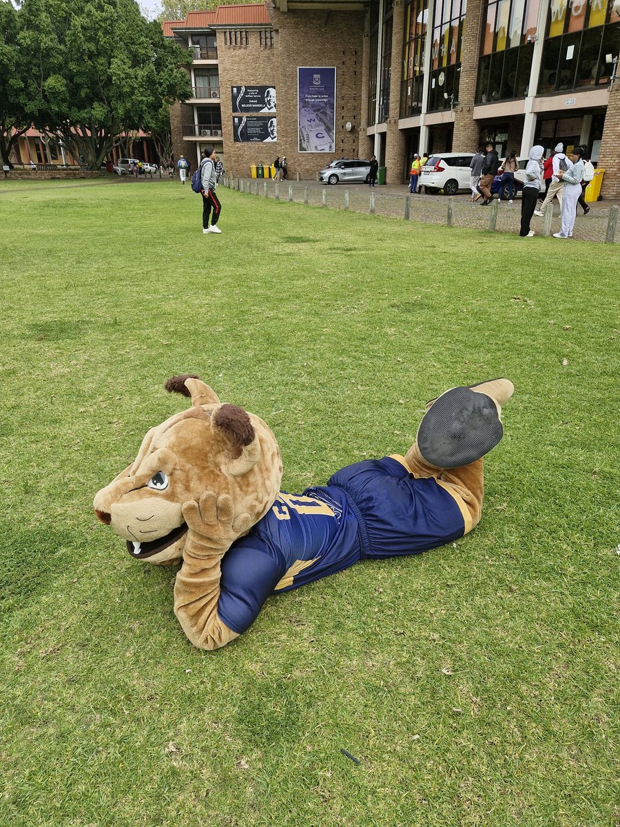 UWCArtsPostGrad's tweet image. Our top winners of our Mental Health Photography Competition are:
Abdul-latief Salie, Kauthar Isaacs, Nande Titi and special award winner Bradgenay Filander. Congrats!
#UWC #artsandhumanities #photograghy #Competition #winners