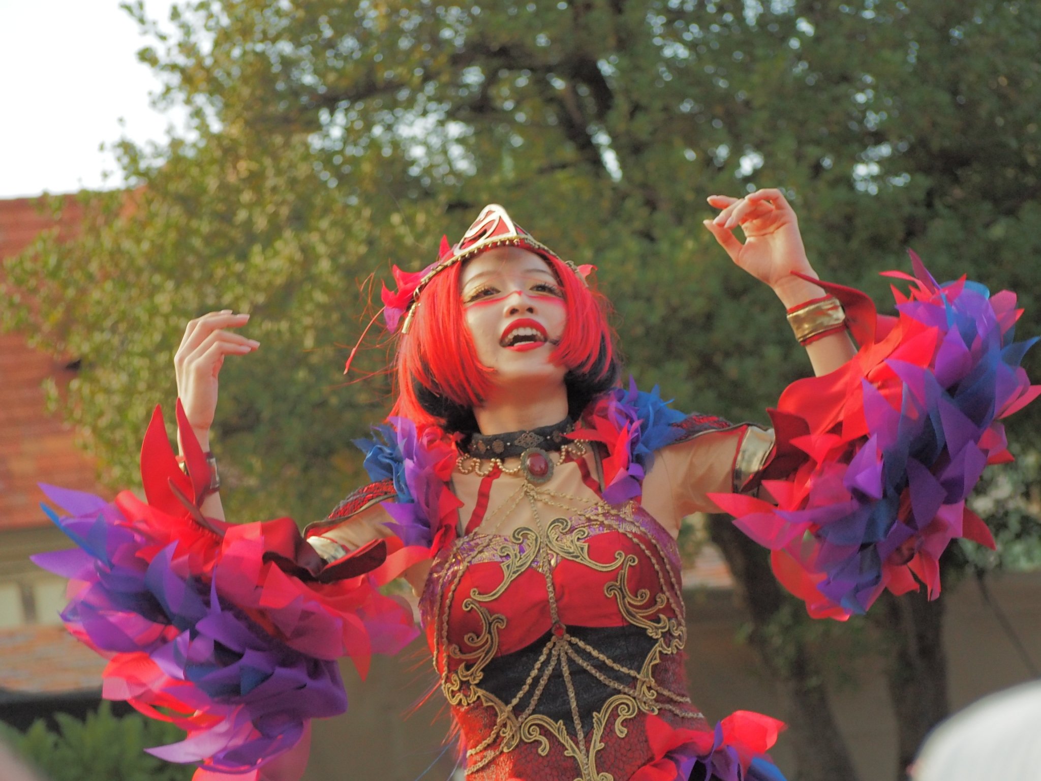 【最短10/12発送】オウムダンサー オウムダンサー - Search / X