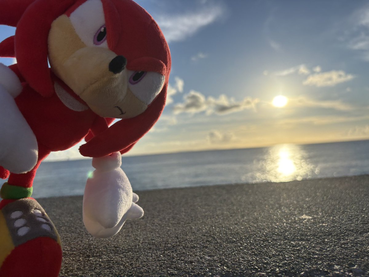 サンセットだぜ