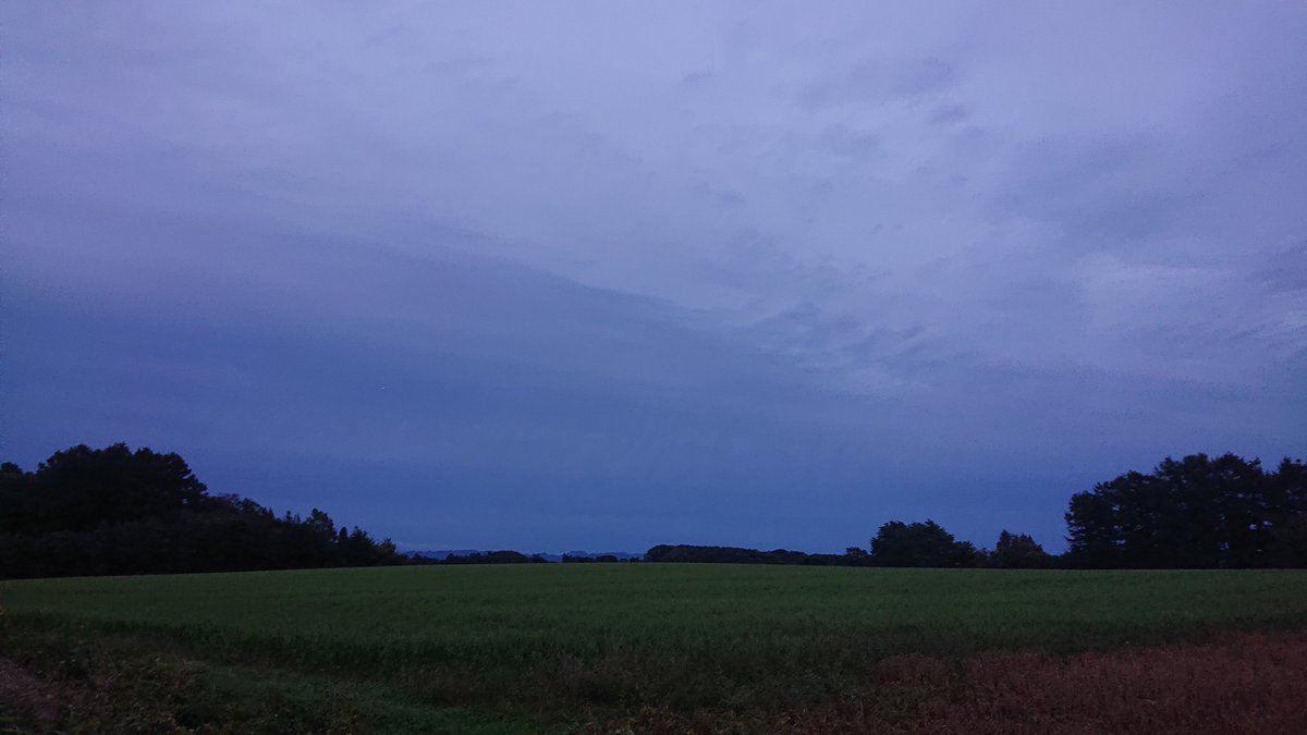 rinrinpilot's tweet image. 週末から３日間 東千歳の農園へ応援行って欲しいと言われ挨拶がてら下見に来てびっくり😮
広すぎるwww
作業安全の為、⛩️お社様にもご挨拶。境内はすっかり秋でした。
御神木から秋の実りが🌰たくさん落ちてる。
明日は天候のため仕事中止なるかも知れない。
休みなったら何しよう😀