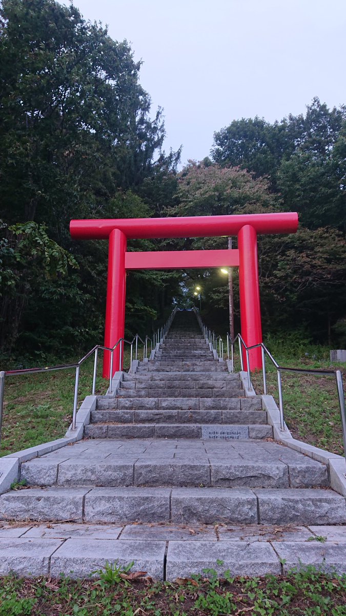 rinrinpilot's tweet image. 週末から３日間 東千歳の農園へ応援行って欲しいと言われ挨拶がてら下見に来てびっくり😮
広すぎるwww
作業安全の為、⛩️お社様にもご挨拶。境内はすっかり秋でした。
御神木から秋の実りが🌰たくさん落ちてる。
明日は天候のため仕事中止なるかも知れない。
休みなったら何しよう😀