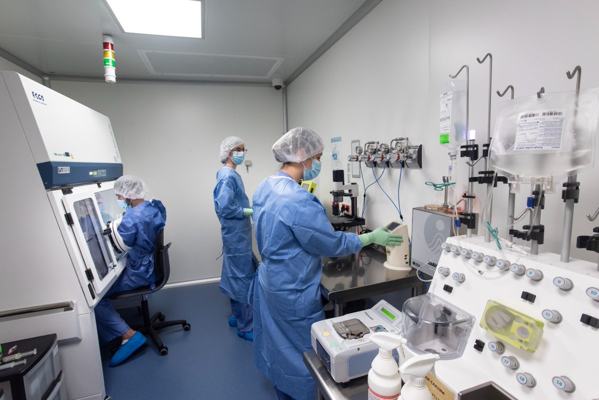 Avui, Dia Mundial de la Recerca en Càncer, volem posar en valor els avenços que la recerca fa possibles🌍

📊El #càncer és una de les principals causes de mort a Espanya i al món, però la recerca està obrint nous avenços decisius que milloren la supervivència i la qualitat de