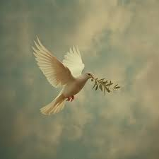 Georgia Mann tweet media