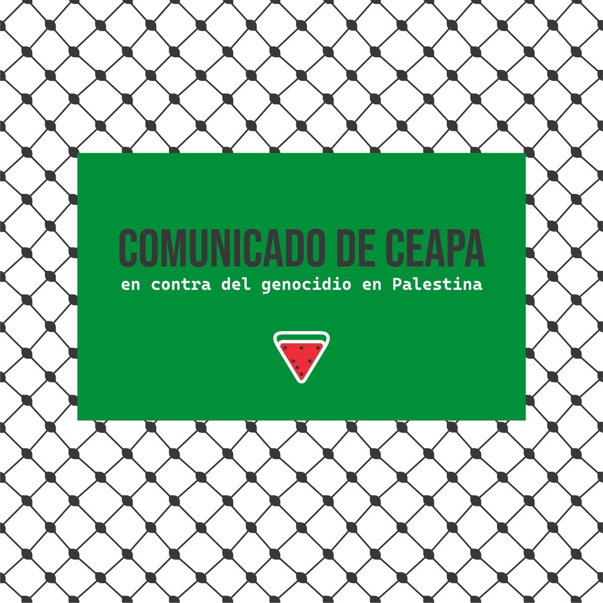 CEAPA muestra su "más enérgico rechazo al #genocidio en #Palestina y a cualquier forma de violencia que atente contra la vida, la dignidad y el futuro de las personas, especialmente de los niños y niñas”. Lee el comunicado íntegro en nuestra web▶bit.ly/CEAPA_Palestina