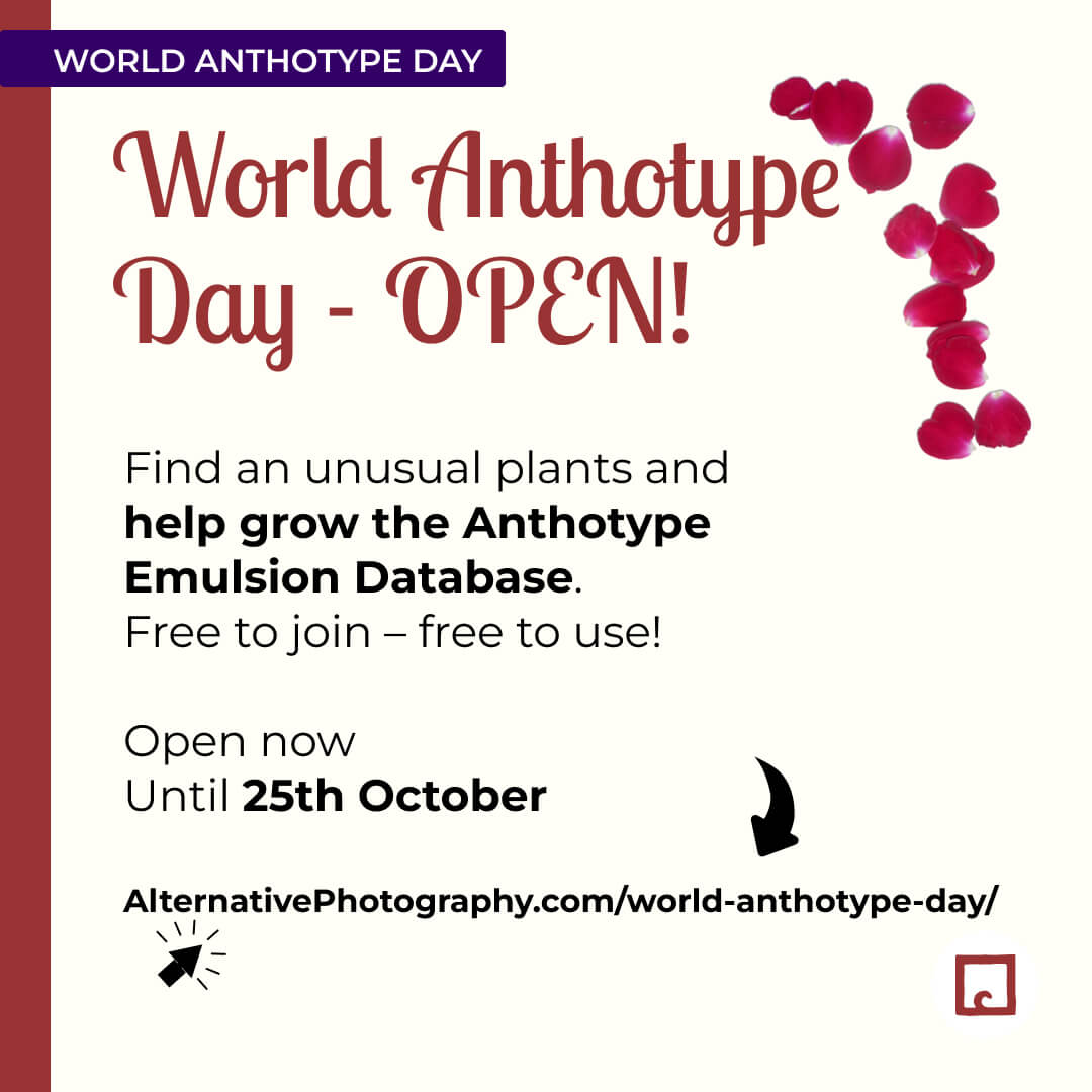 alternativephot's tweet image. We hope you are not busy this weekend...
ANTHOTYPE Day, until the 25th October:
👉 alternativephotography.com/world-anthotyp…

CYANOTYPE Day, opens 27th September:
👉 alternativephotography.com/world-cyanotyp…

#anthotypes #worldanthotypeday #cyanotypes #worldcyanotypeday