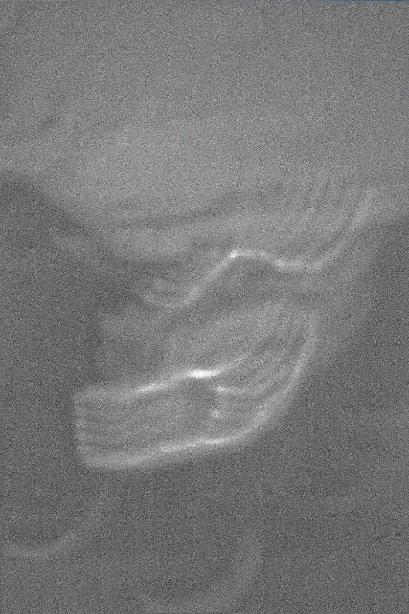 曖昧な東京 (@aimai_tokyo) on Twitter photo 