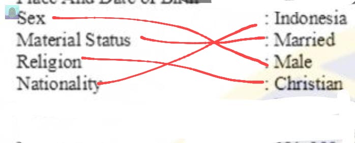 blubub blubub 🌊🏊♂️ tweet media