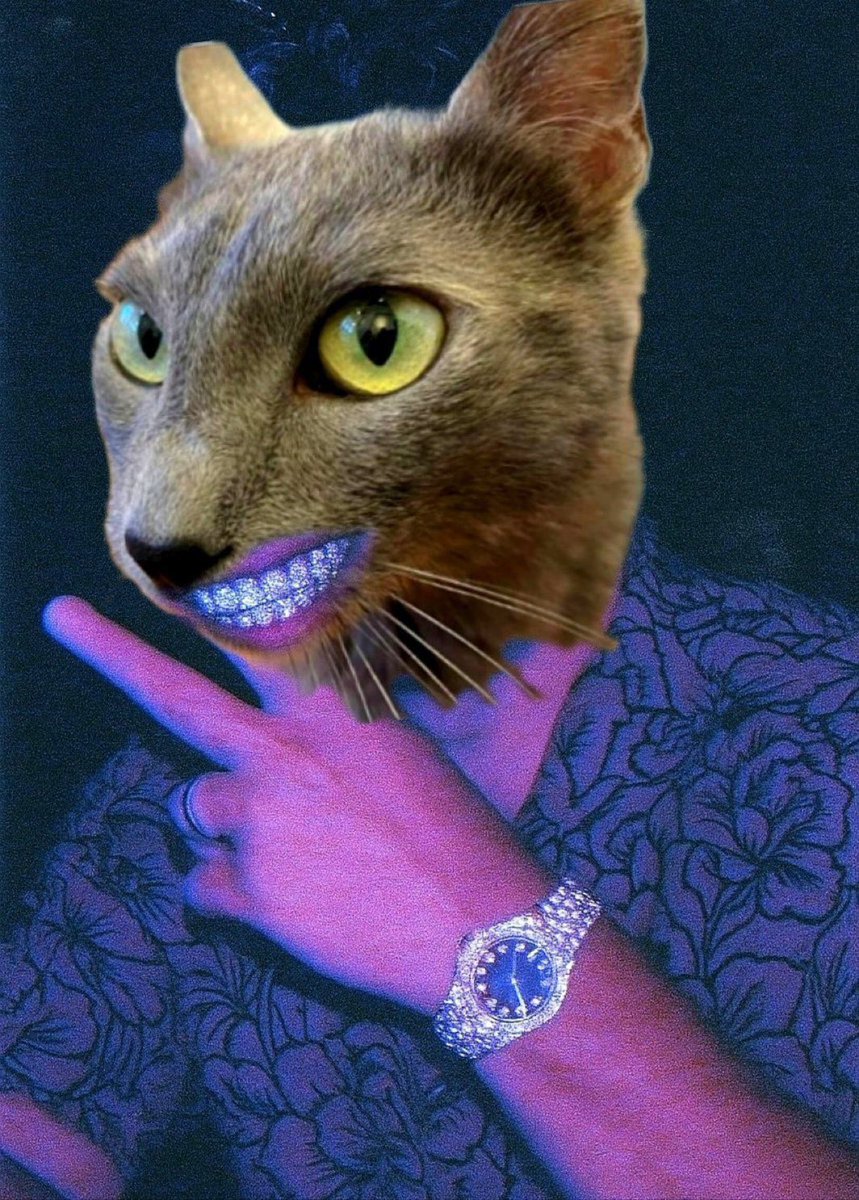 markcrypto8's tweet image. Cat season soon ⏳ $BOBA 🐈