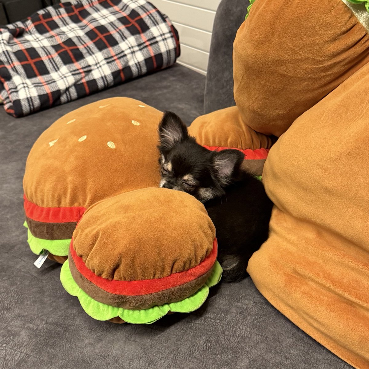 fuyu_4a2u's tweet image. ハンバーガーinチワワ