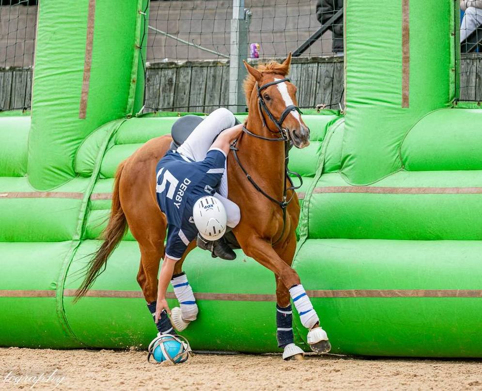 Fred and Rowena Cook tweet media