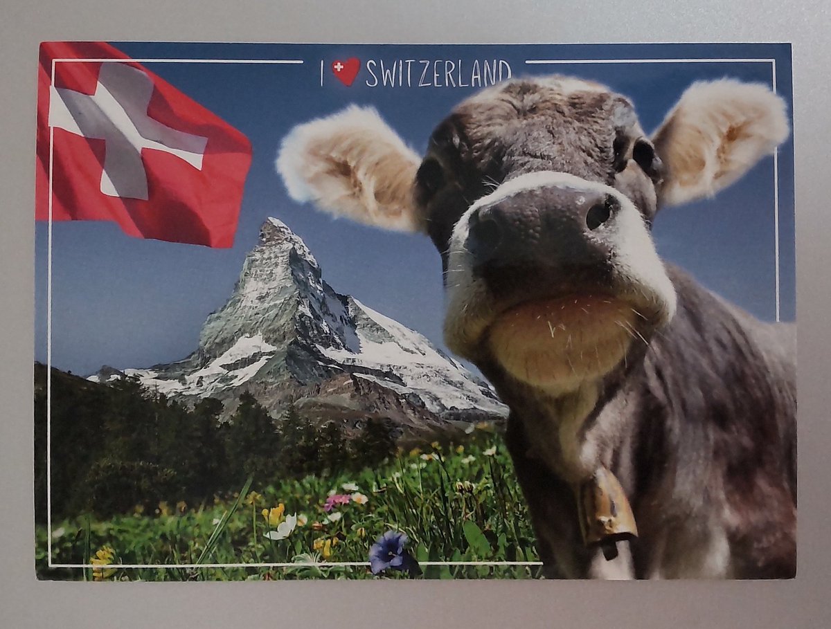 スイスのペンフレンドから届きました🇨🇭Goethe試験のプレッシャーに押しつぶされそうになっていましたが、この風景に憧れてドイツ語学習を始めた初心の頃の気持ちを思い出して、もう一度気を引き締めてがんばろうと思います。いつもステキな絵はがきを送ってくれるパートナーに感謝です。
